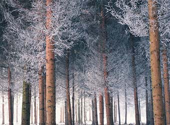 捷豹 F-TYPE R：性能版跑车50T V8 动力的声浪炸裂